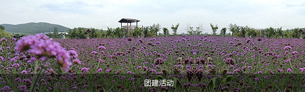 员工培训